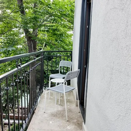 Florina Istambul